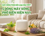 Máy xông tinh dầu loại nào tốt? 5 dòng máy xông thông dụng nhất hiện nay