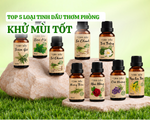 Top 5 loại tinh dầu thơm phòng khử mùi tốt