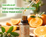 Tinh dầu là gì? Top 3 loại tinh dầu phổ biến đáng tham khảo 