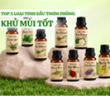 Top 5 loại tinh dầu thơm phòng khử mùi tốt