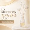 Bộ Lọ Thủy Tinh Khuếch Tán
