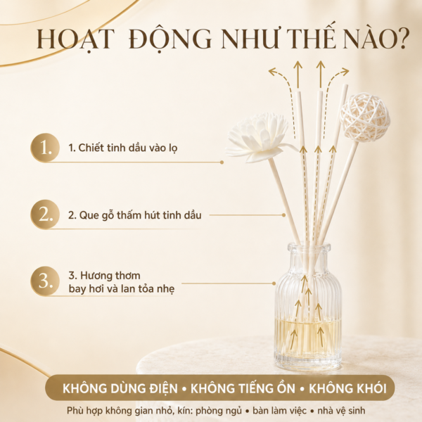 Bộ Lọ Thủy Tinh Khuếch Tán