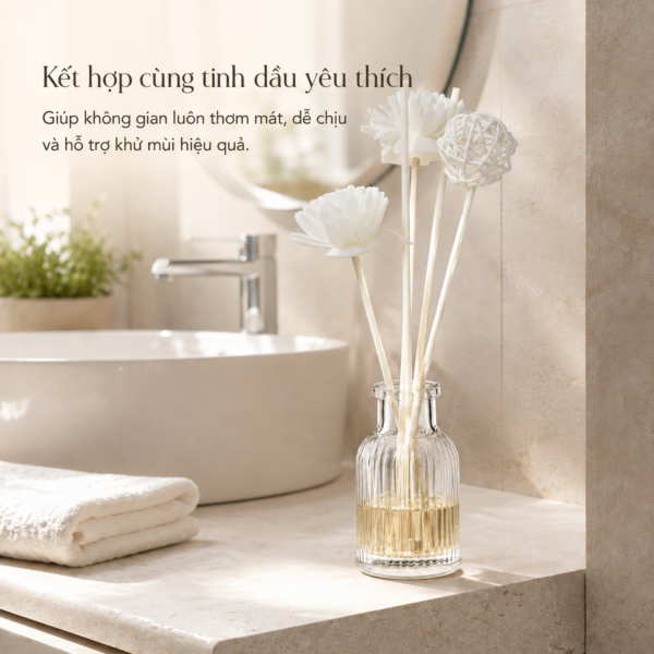 Bộ Lọ Thủy Tinh Khuếch Tán
