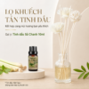 Bộ Lọ Thủy Tinh Khuếch Tán