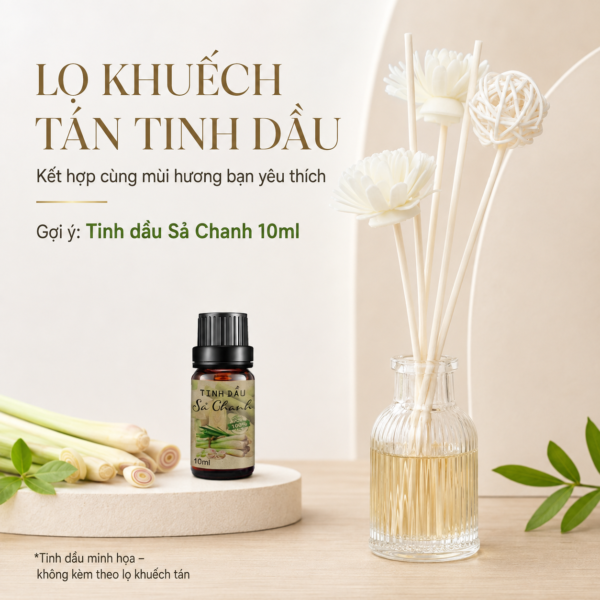 Bộ Lọ Thủy Tinh Khuếch Tán