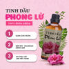 Tinh dầu Phong Lữ