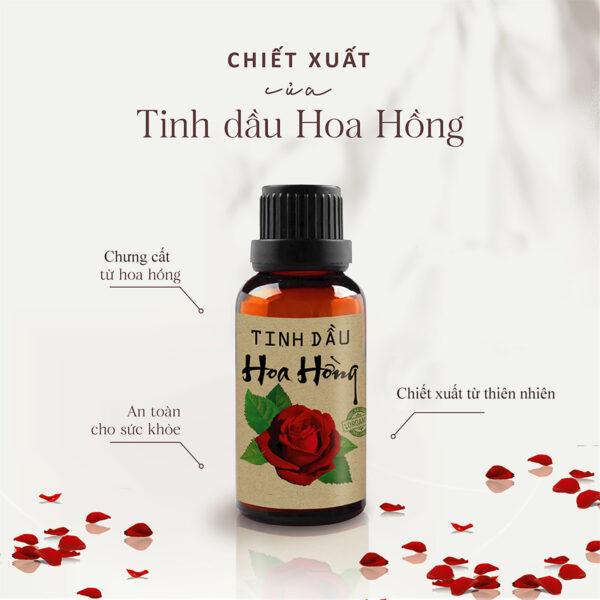 Tinh dầu Hoa Hồng