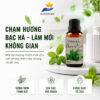 Tinh Dầu Bạc Hà Thiên Nhiên