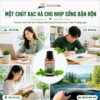 Tinh Dầu Bạc Hà Thiên Nhiên