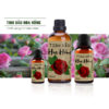 tinh dau hoa hong sunstore