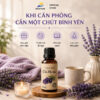 Tinh Dầu Oải Hương