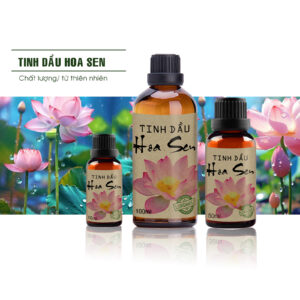 tinh dau hoa sen khu mui thom phong thu gian 1 tinh dau sen hong sunstore
