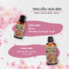 tinh dau sen hong sunstore