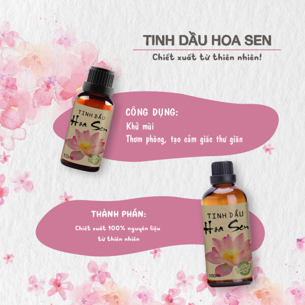 tinh dau sen hong sunstore