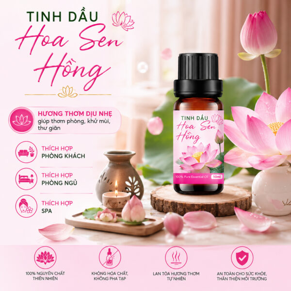 Tinh Dầu Sen Hồng