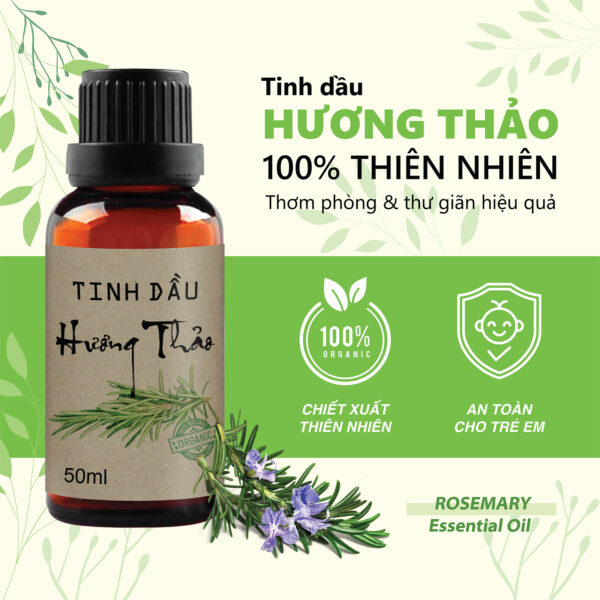 Tinh Dầu Hương Thảo Thiên Nhiên