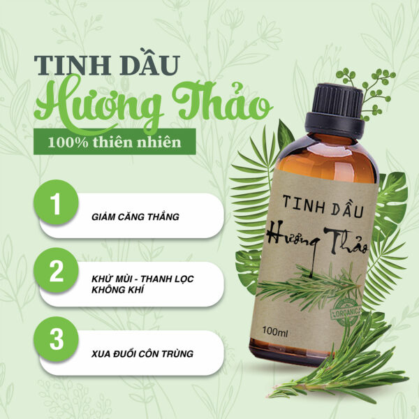 Tinh Dầu Hương Thảo Thiên Nhiên