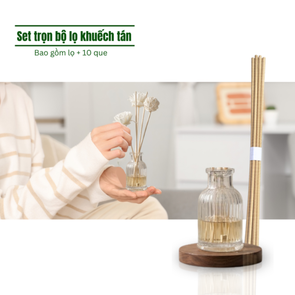 Set Bộ Lọ Khuếch Tán