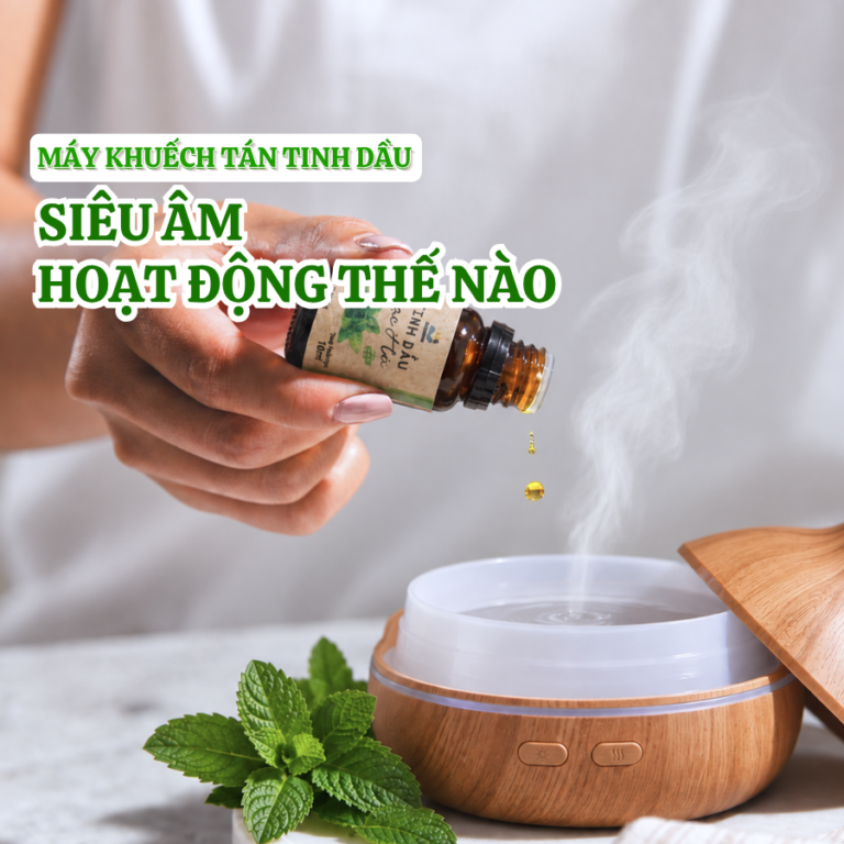 máy khuếch tán tinh dầu siêu âm hoạt động như nào - sunstore office